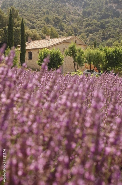 Obraz images de provence