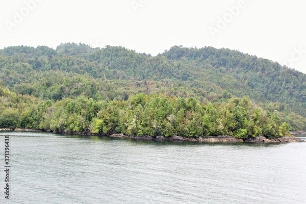 Obraz lake in the forest