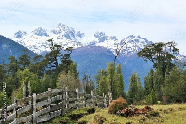 Obraz landscape in the mountains