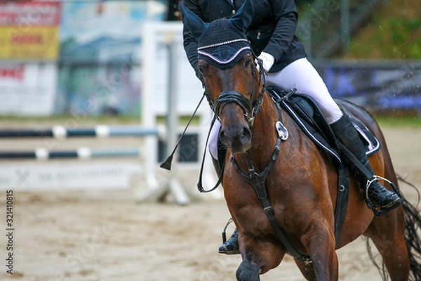 Obraz Horse at a jumping tournament with rider in a gallop close-up..