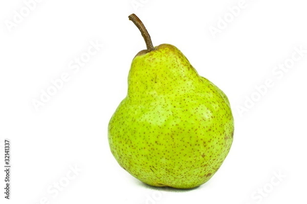 Obraz Gruszka #027