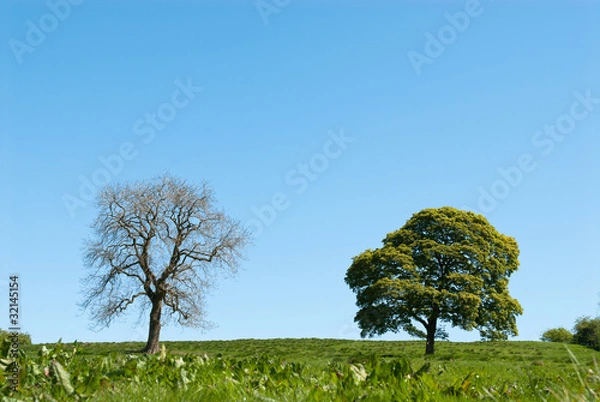 Obraz Life and death