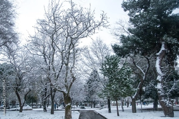 Obraz a park of trees and a small snowy pathway in a cold day of february in a greek town thessaloniki 