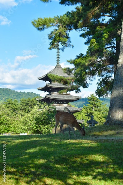 Obraz Japanese Temple