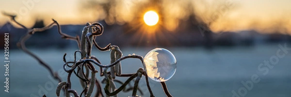 Fototapeta Gefrorene Seifenblasen, frozen bubbles