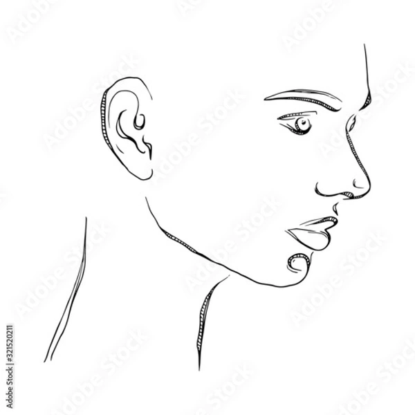 Obraz Vector women. Vector hand drawn illustration