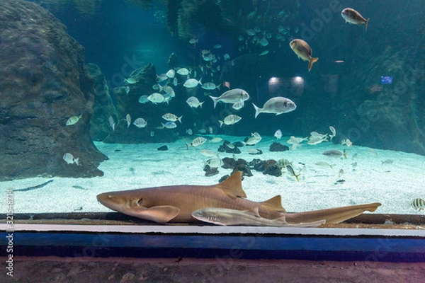 Obraz 2020 Lanzarote