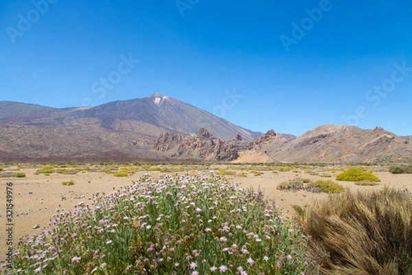Obraz Pico de Teide