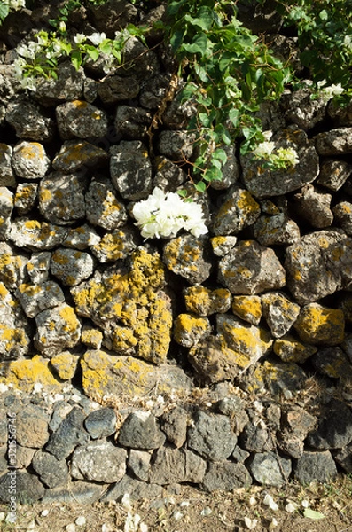 Obraz fiore e pietra