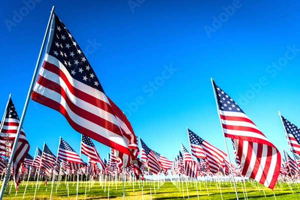 Obraz A large group of American flags. Veterans or Memorial day display