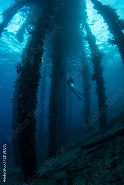 Obraz Diver underneath a jetty