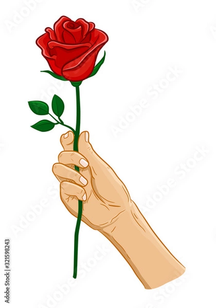 Obraz hand  holding red rose flower 