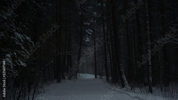 Obraz scary dark path in the winter forest
