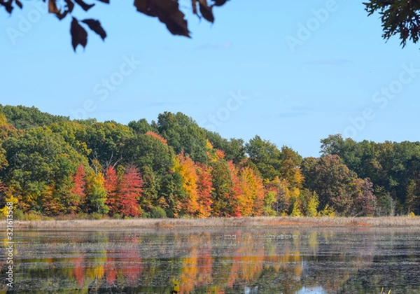 Fototapeta Beautiful view of autumn trees by the lake in Waterloo Park, Ann Arbor, Michigan, USA. Reflection of colorful leaves in lake water under blue sky.