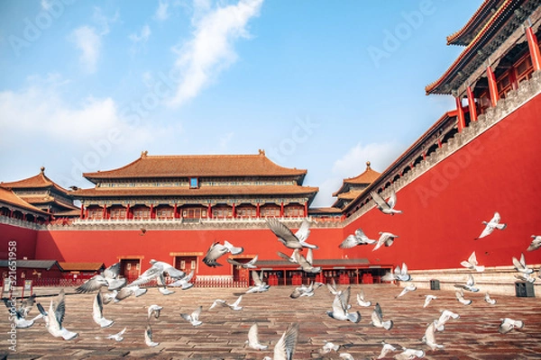 Fototapeta Pigeons on the Forbidden City Square in Beijing, China. Pigeons flying in front of the Red Wall in Beijing Forbidden City. Chinese translation of the plaque in the picture: Meridian Gate.