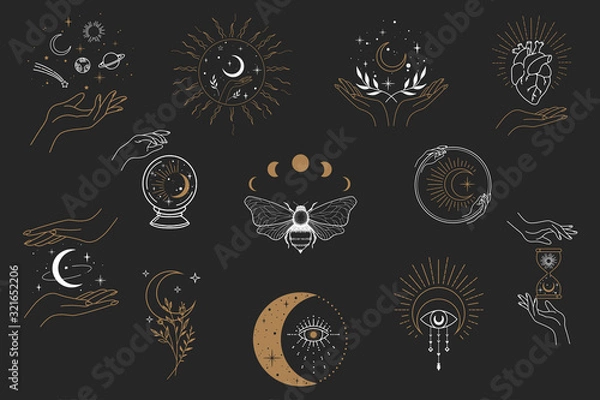 Fototapeta Vector witch magic design elements set. Hand drawn, doodle, sketch magician collection. Witchcraft symbols. Perfect for tattoo, textile, cards, mystery