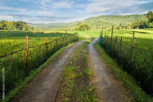 Fototapeta road in the countryside