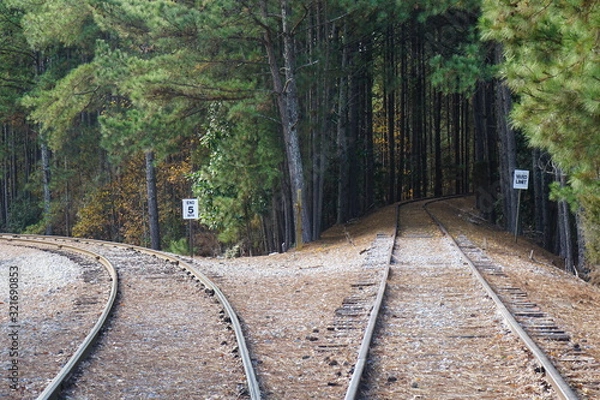 Obraz railway in the forest
