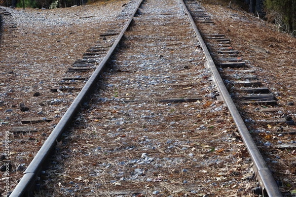 Obraz railroad into distance