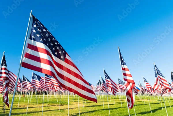 Fototapeta A large group of American flags. Veterans or Memorial day display