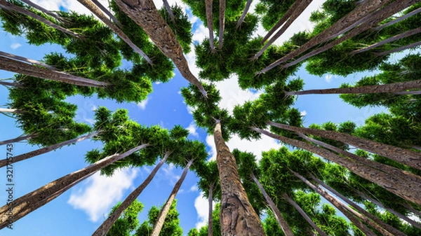 Obraz Forest and Tree Background 3D Rendering