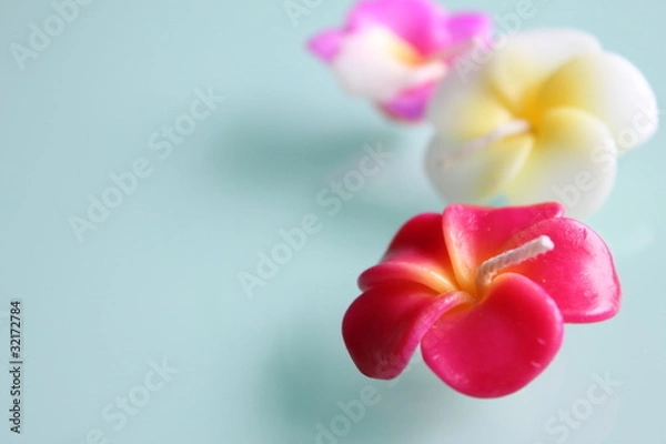 Fototapeta ハイビスカスのキャンドル