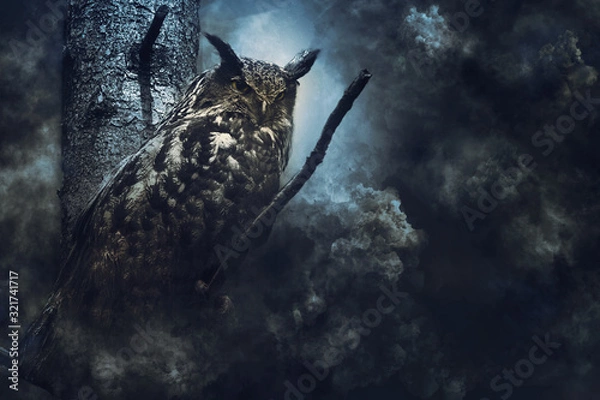 Fototapeta Eule Mystic, Harry Potter