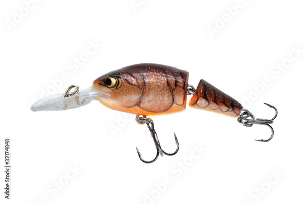 Fototapeta crankbait