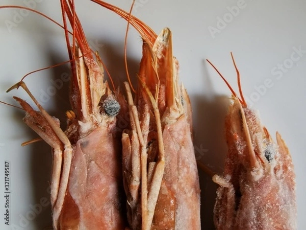 Obraz dried squid on white background