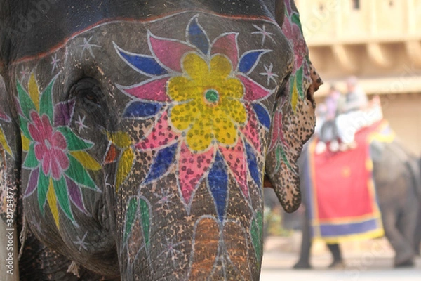 Obraz Bemalter Elefant in Indien 