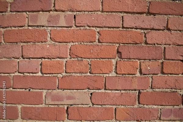 Obraz Light Brick Texture