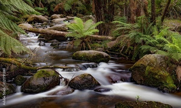 Obraz Cascades - Dandenong Ranges