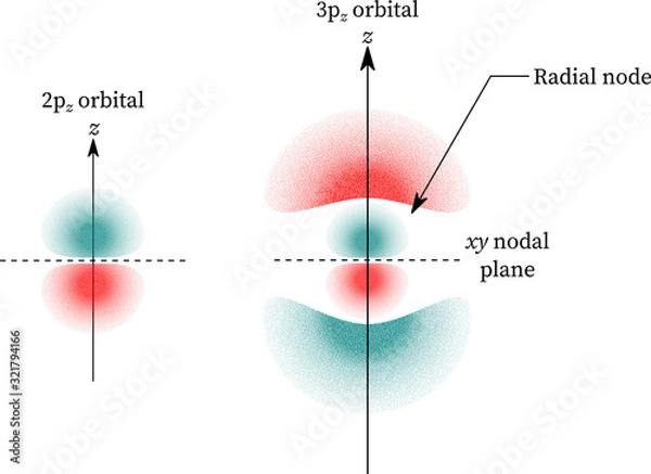 Fototapeta p orbitals radial nodes 2pz and 3pz
