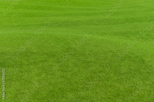 Obraz Green grass background texture