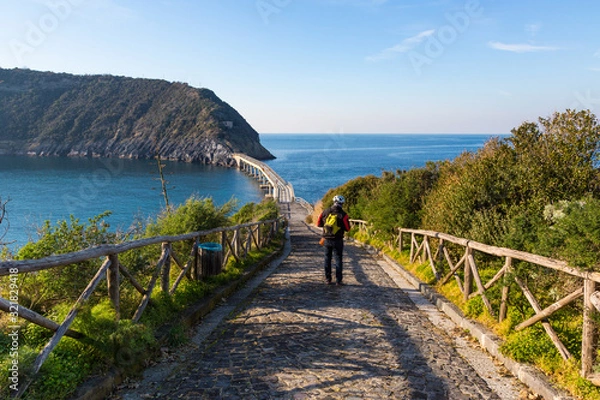 Fototapeta Procida (Italy) - Vivara Island, a nature reserve and protected oasis in Procida, Phlegrean Fields