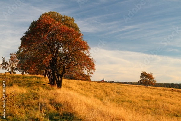 Fototapeta autumn in the mountains