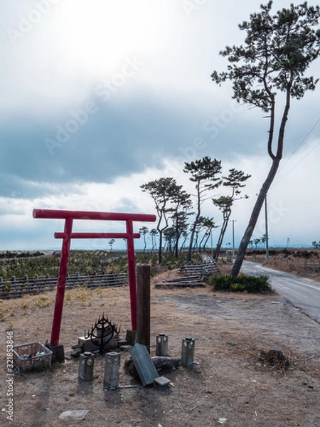 Obraz 東日本大震災の被災地、荒浜地区。