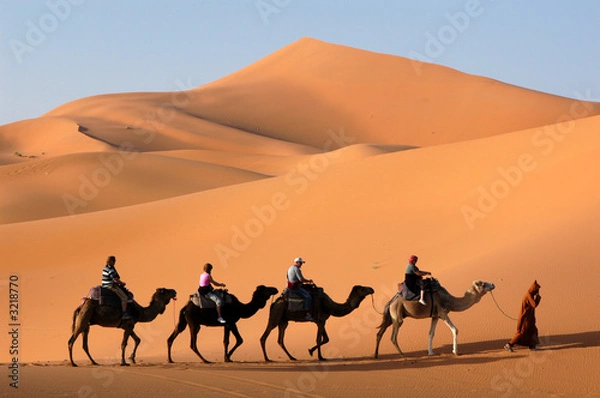 Fototapeta CADEL CARAVAN na pustyni Sahara