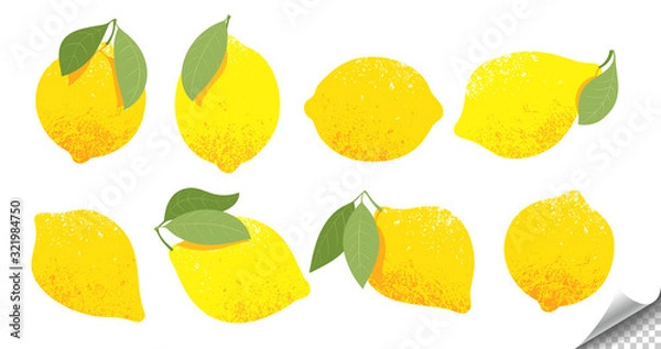 Fototapeta Set of lemons with a leaf. Collection of citrus fruit. Lemon logo or icon.