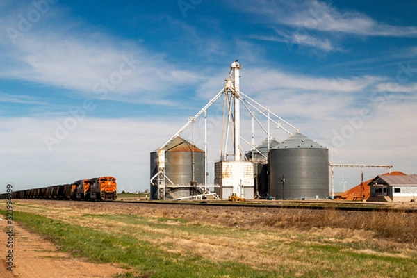Fototapeta BNSF Railway train in agricultural landscape with silo, Claude, Texas