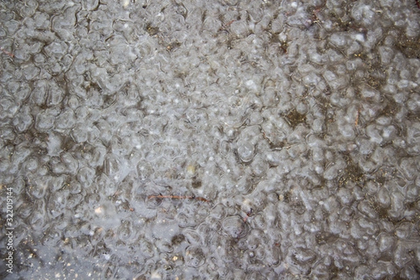 Fototapeta background with texture wet ice in the water