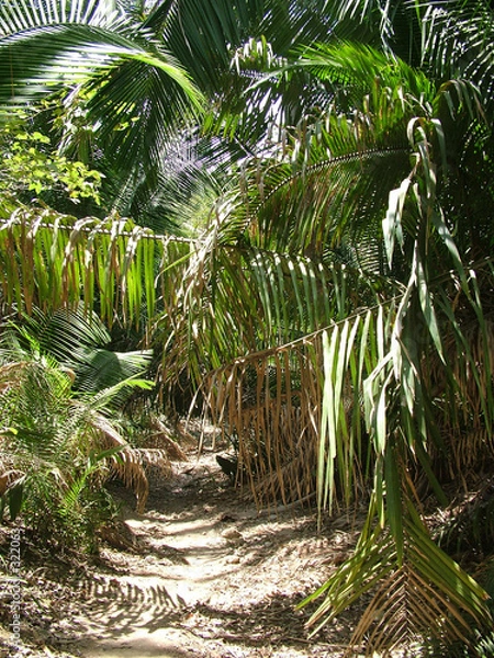 Obraz jungle mexique