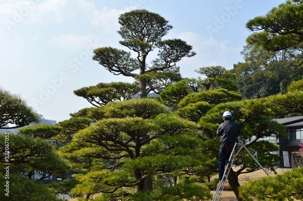 Fototapeta 仕事中の庭師