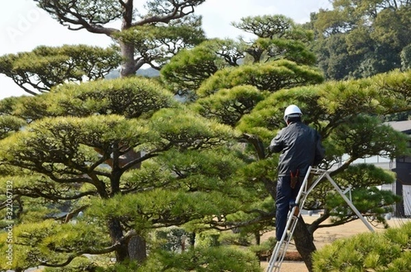 Fototapeta 仕事中の庭師