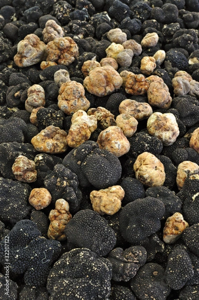 Obraz black and white truffles