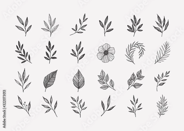 Obraz Hand drawn floral elements and leaves. Vector botanical illustrations set
