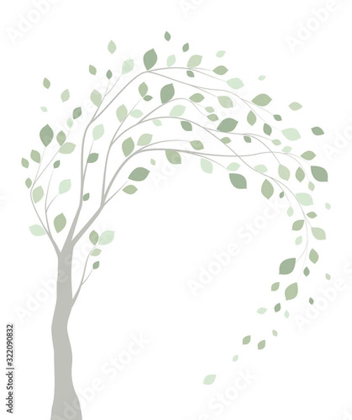 Obraz Vector illustration of a tree with leaves on a white background