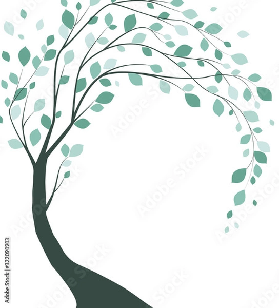 Obraz Vector illustration of a tree with leaves on a white background
