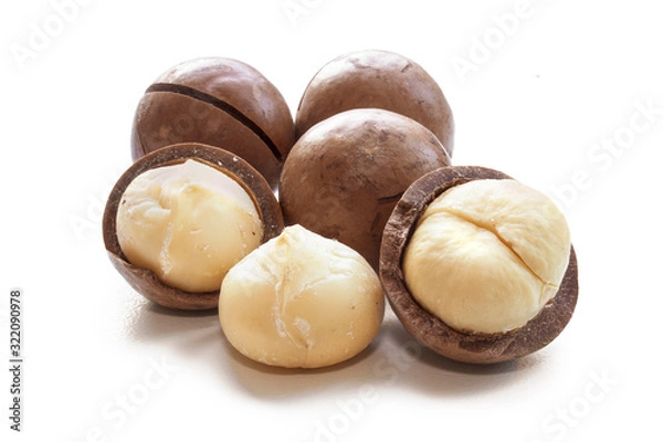 Fototapeta tasty macadamia nuts, unshelled and peeled, isolated