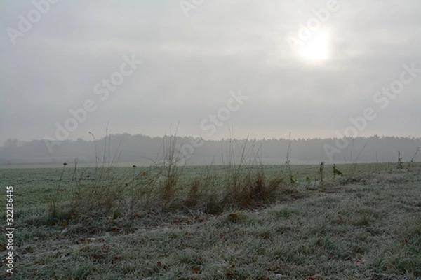Obraz frosty morning with fog in rural area in Germany